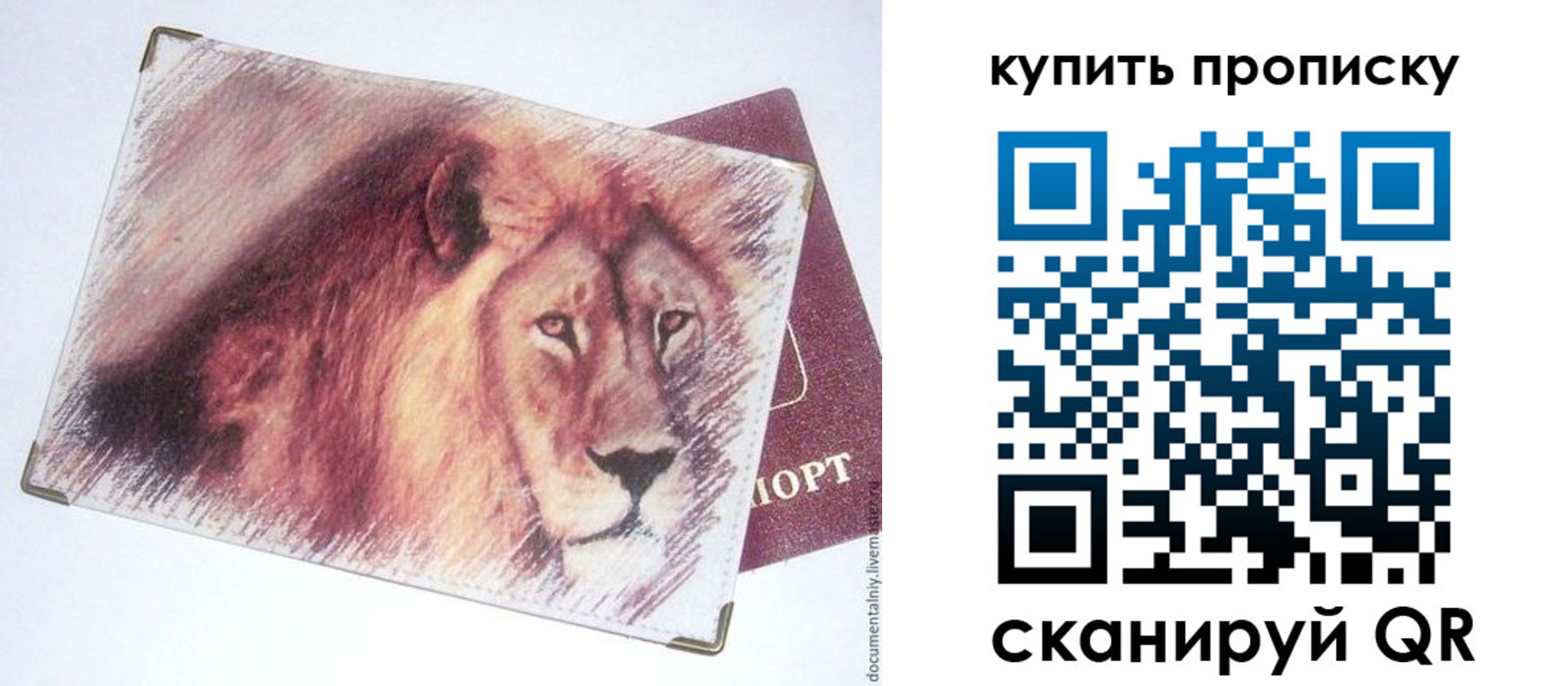 прописка паспорт в Соль-Илецке